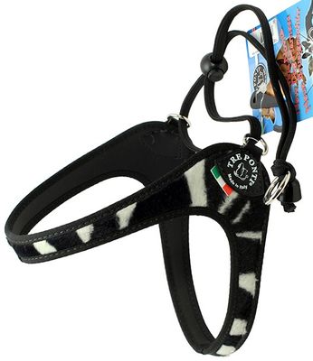 Kattsele Tre Ponti zebramönstrad