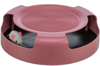 Cat Activity Catch The Mouse Berry