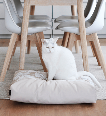 PADI modern catbed beige