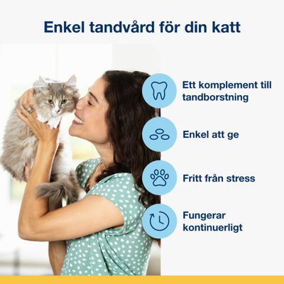 Plaque Off dental bites Katt