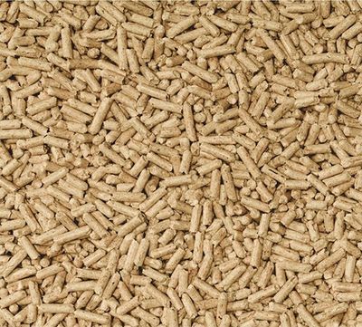 Cats Best Nature Gold 10 L / 5 kg