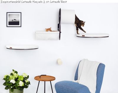 Cosy and Dozy Katthylla CATWALK PLAY Walnut