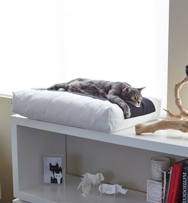 PADI modern catbed vit