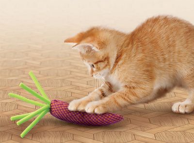 Kong Cat Nibble Carrot