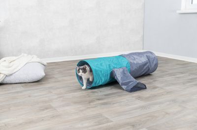Prasseltunnel Crunch XL 115 cm