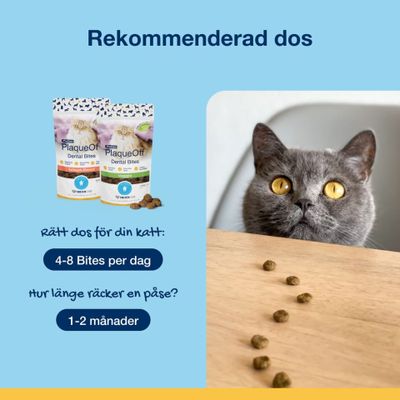 Plaque Off dental bites Katt