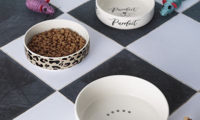 Purrfect kattmatskål med låg kant