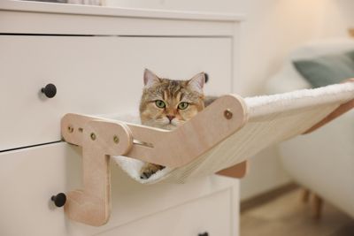 Kattsäng hammock trä