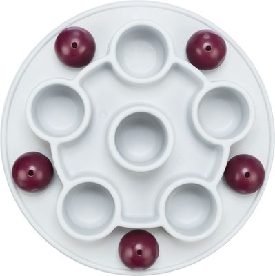 Cat Activity Pentagon