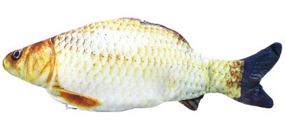 Sprattlande FISK GRÄSKARP