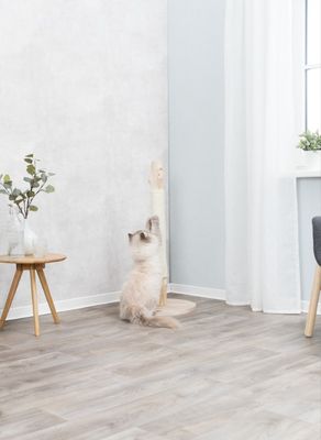 Klösstolpe naturträ