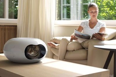 Doonut kattbädd
