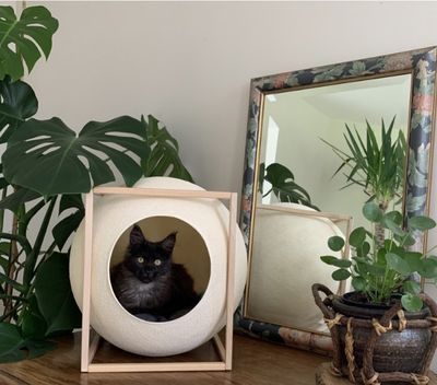 Le Cube Champagne Wood - Meyou Paris