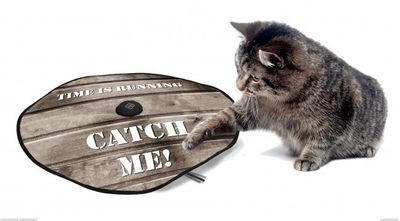 Undercover Mouse Catch Me woodstyle