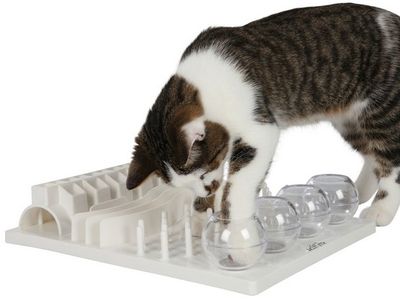 Cat Activity FunBoard (grå)