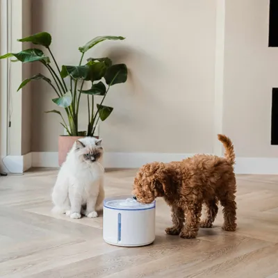 Sladdlös kattfontän District 70 FLOW vit