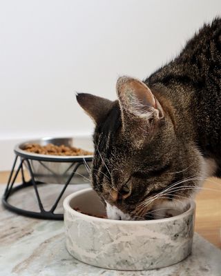 Kattmatskål Marmi 400 ml