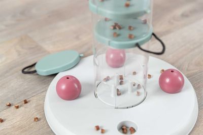 Cat Activity Gambling Tower