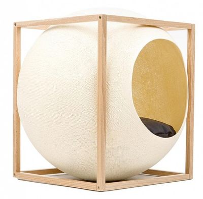 Le Cube Champagne Wood - Meyou Paris