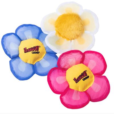 Yeowww Flower stark kattmynta Rosa