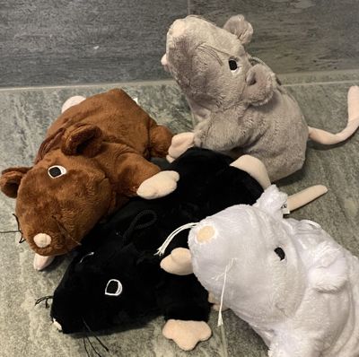 Kattleksak Den Stora Råttan Vit