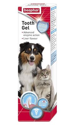 Tandgel för katt och hund