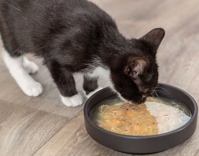 Kattmatskål Be Nordic svart