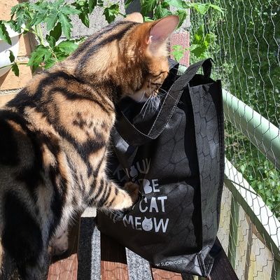 Supercat nice bag