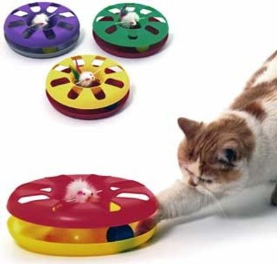 Kitty-round med boll