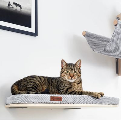 Cosy and Dozy Katthylla CATWALK REST Maple
