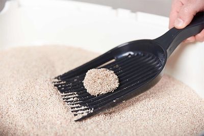 SoftCat 9,5 liter Eko kattsand