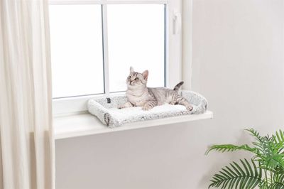 Kattsäng fönsterbräda Calida