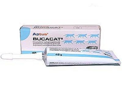 Bucacat mungel för katt