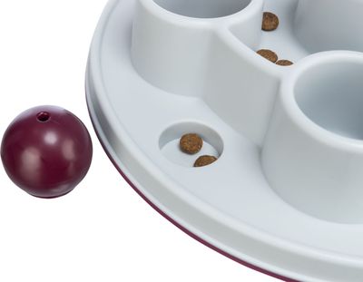 Cat Activity Pentagon