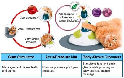 CatIt Senses Massage Center