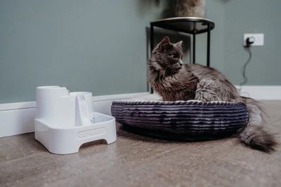 Cat Mate Vattenfontän 2 L Vit