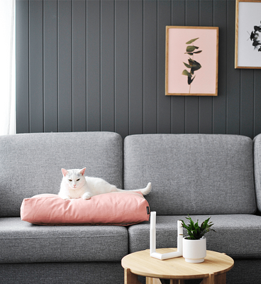 PADI modern catbed rose