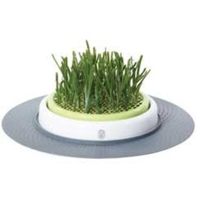 CatIt Senses Grass Garden