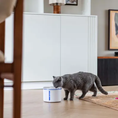 Sladdlös kattfontän District 70 FLOW vit