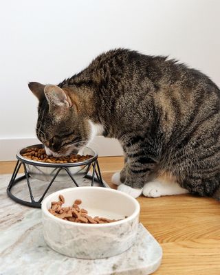 Kattmatskål Marmi 400 ml