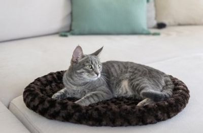 Kattbädd cosy brun