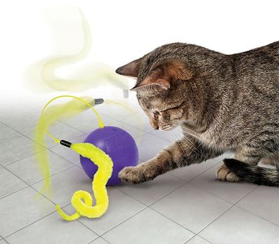 Kong Cat Purrsuit Whirlwind