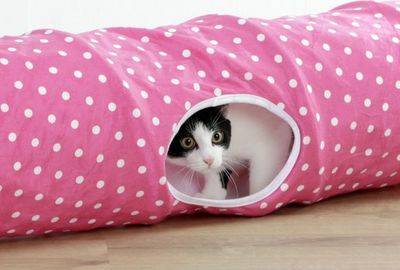 Prasseltunnel Puntino rosa 100 cm