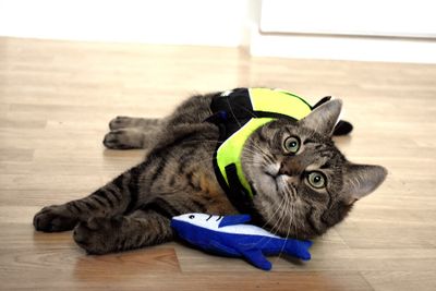 Flytväst Maja för katt Baltic, 0-3 kg