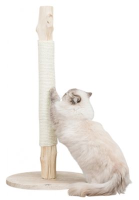 Klösstolpe naturträ