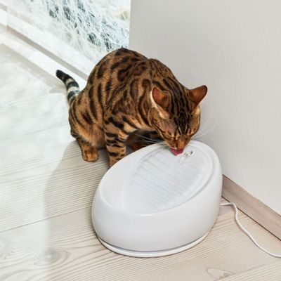 Lucky-Kitty keramik vattenfontän vit