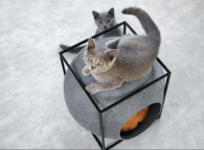 Le Cube Light Grey - Meyou Paris