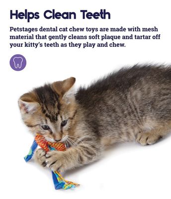 Petstages dental health chews