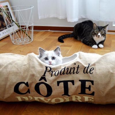 Lektunnel Cote d'Ivoire vit 120 cm