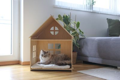 Katthus Yvi trämöbel